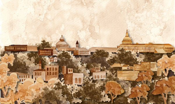 DC SKYLINE COFFEECOLOR PRINT